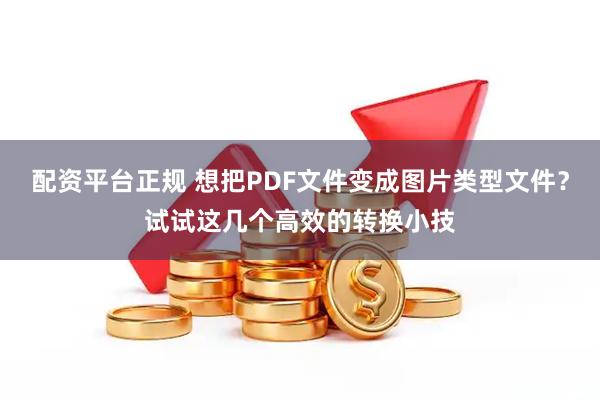 配资平台正规 想把PDF文件变成图片类型文件？试试这几个高效的转换小技