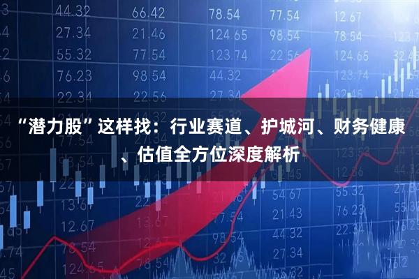 “潜力股”这样找：行业赛道、护城河、财务健康、估值全方位深度解析