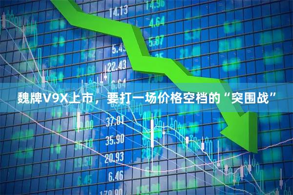 魏牌V9X上市，要打一场价格空档的“突围战”