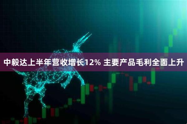 中毅达上半年营收增长12% 主要产品毛利全面上升